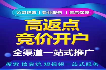 关键词竞价排名实战案例分析