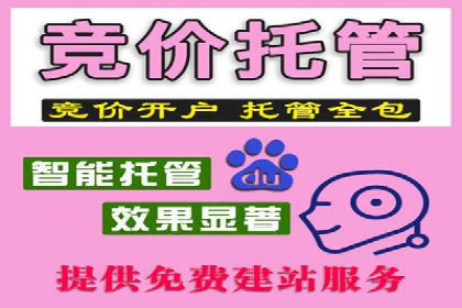 搜索引擎营销托管的秘密：案例分享